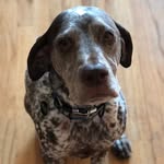 Louie Lyons - @chicago_louie_lyons - Instagram