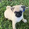 Louie Lyons - @love.little.louie - TikTok