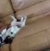 Louie Mclaughlin - Facebook