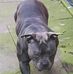 Louis Mclaughlin - Facebook