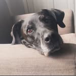 Sarah-Louie Ramsay - @sarahlouieramsay - Instagram