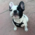 Louie Robles - @life_of_louie2 - Instagram