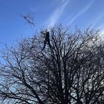Louie Wright - @_blue.trees_ - Instagram