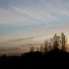 Louis Albert - @louis___albert - TikTok