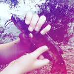 Louis - @louis_angler_hobby - Instagram