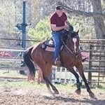 Louis Beasley - @louisbeasleyqh - Instagram