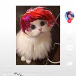 Louis Benedict - @louisbenedict6 - Instagram