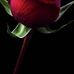Louise Blanton - Facebook