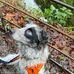 Louise Bonham - Facebook