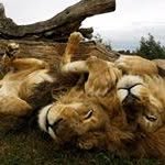 Louis Booth - @boothlouis72 - Instagram