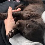 King Louis - @good.boykin.louis - Instagram