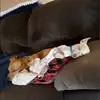 Lou Boykin - @lou.boykin - TikTok