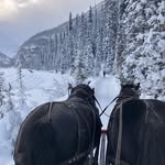 Brewster Adventures - @brewsterlakelouise - Instagram