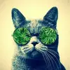 louis brewster - @louis8543 - TikTok
