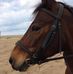 Louise Broad - Facebook