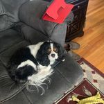 Louis Bronson - @louis.bronson.54 - Instagram
