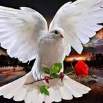 Louis Camacho Cobeñas - @jefersoncamacho37 - Instagram
