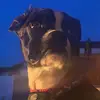Louis Capolupo - @louis_capolupo_ - TikTok