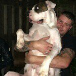 Louis Chappell - @chappelllouis - Instagram