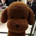 Louis Ching - @louis78231 - Instagram