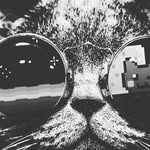 Louis.cochrane - @louis.cochrane5 - Instagram