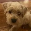 Luis Colosimo - @luis_colosimo71 - TikTok