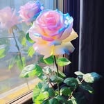 Louis Constantin Mevengue - @louisconstantin.m - Instagram