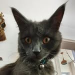 @louis_constanty - Instagram