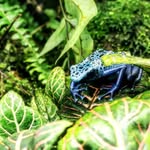 Louis - @louis.constantin_dc - Instagram