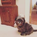 Louiscrowson - @louiscrowson3020 - Instagram