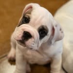 Louis Culver - @louie_in_the_louie - Instagram
