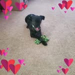 LM Daugherty - @louisedaugherty84 - Instagram
