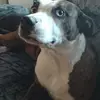 Louis DeVito - @louis.devito - TikTok