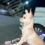 Jean-louis Duron - @jeanlouis.duron - Instagram