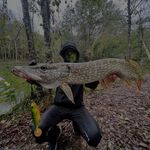 @_louis_fish_ - Instagram