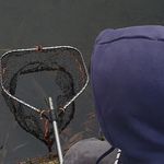 @louis_fishes - Instagram