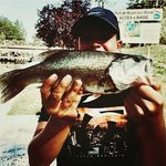 louis - @louis_fish_47 - Instagram