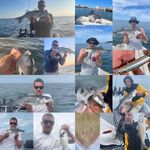 Fishing experience 🎣 🇫🇷 - @louis_fishing_experience - Instagram