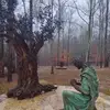 Louis Flaim - @louis.flaim - TikTok