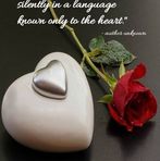 Louis Fredrickson  - Facebook