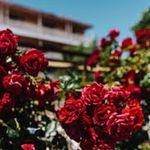 Louis Fredrickson - @fedrick7055 - Instagram