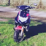 louis gerard - @louisgerard87 - Instagram