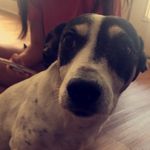 Cleo Glaser - @cleolouiseglaser - Instagram