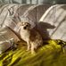 Louise Grilli - Facebook