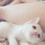 Louis Harrell - @louis___jay - Instagram