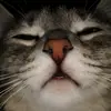 Lou - @louishesss - TikTok