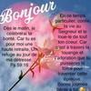 Louis Jack509 - @louisjacke - TikTok