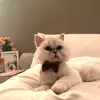 Jasper_louis07 - @jasper_louis07 - TikTok