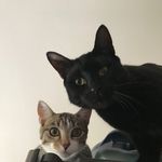 Louis & Jasper - @the_louis_and_jasper_show - Instagram