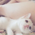 Louis Harrell - @louis___jay - Instagram